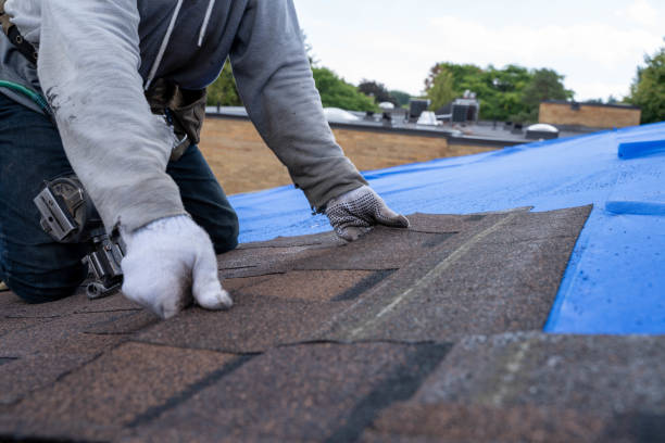 Best Commercial Roofing Services  in Belvedere, SC