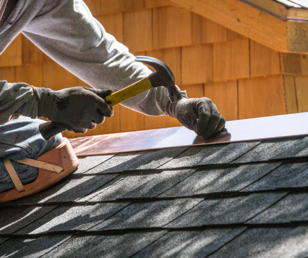 Best Roof Gutter Cleaning  in Belvedere, SC